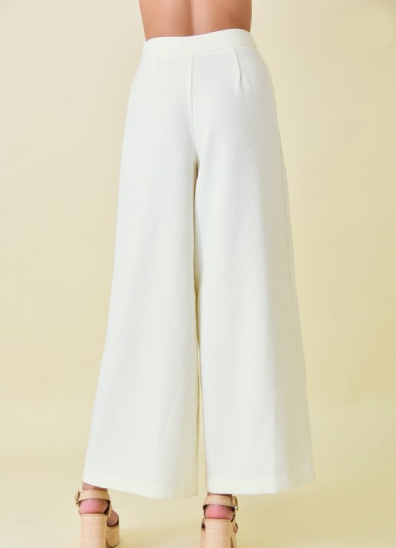 Front pleat tailored pant